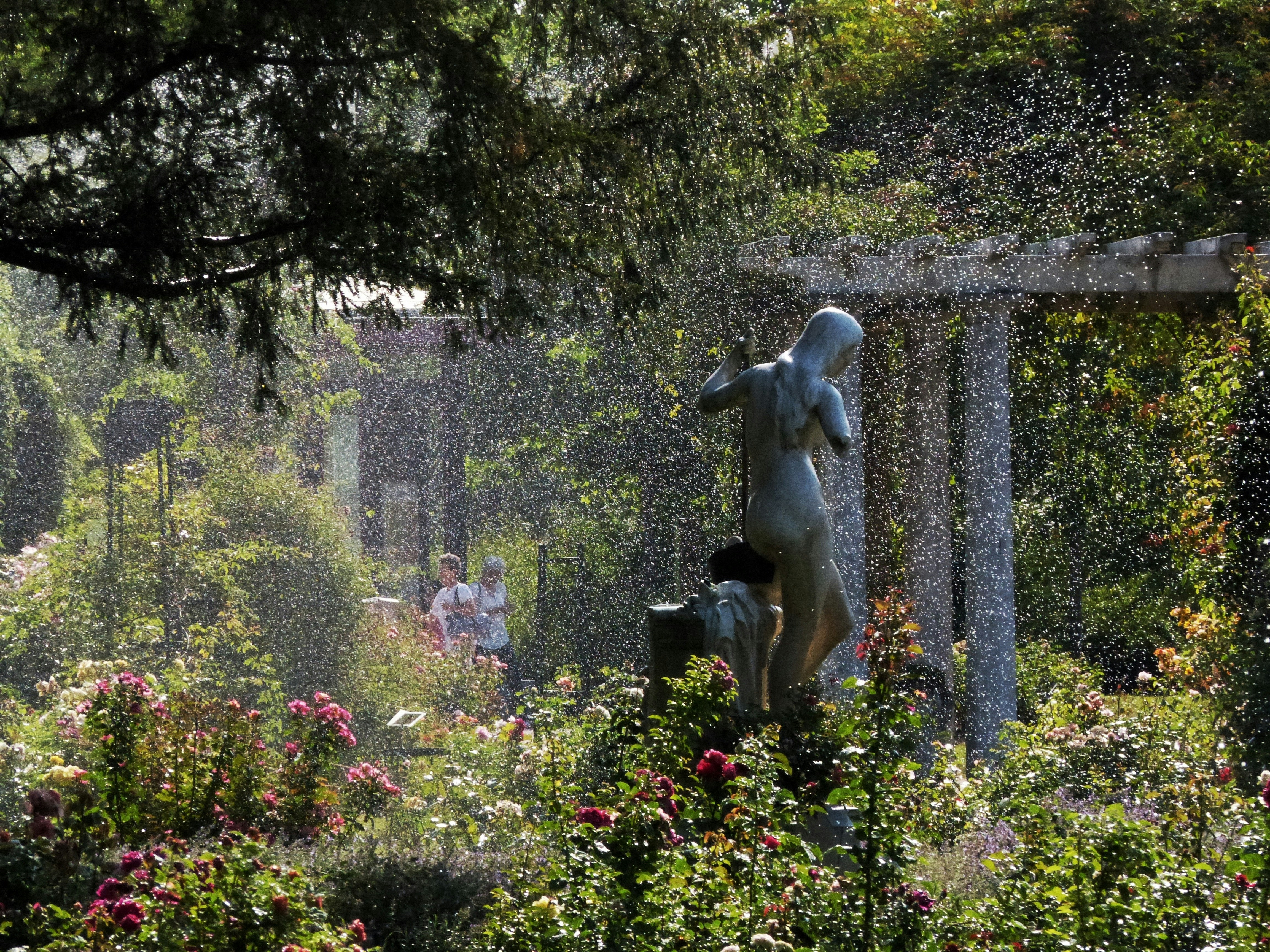 Naked Woman In The Garden